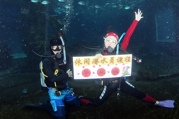 12/12正式上線！PADI 最新課程【休閑潛水員Resort Diver】 丨 一天拿證，潛遍全球