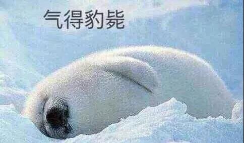 原來你是這樣的潛水員妹子！